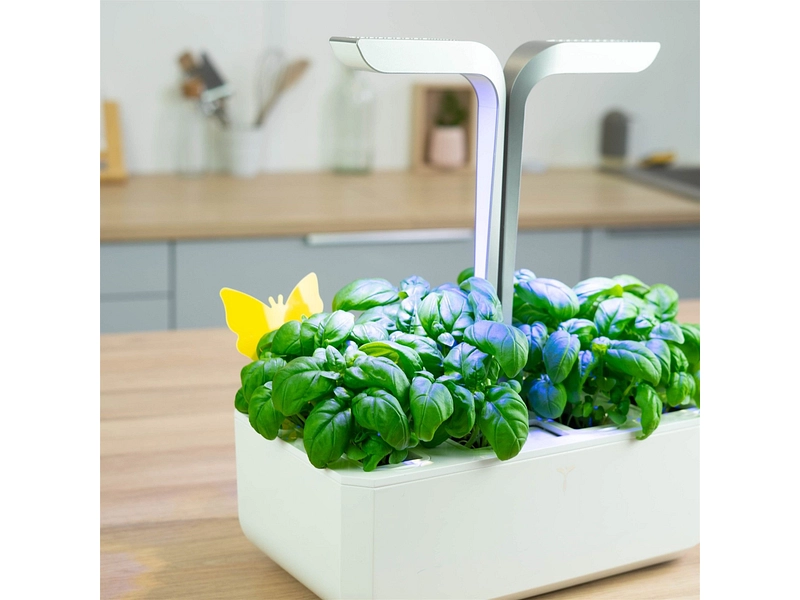 VÉRITABLE Pieges collants