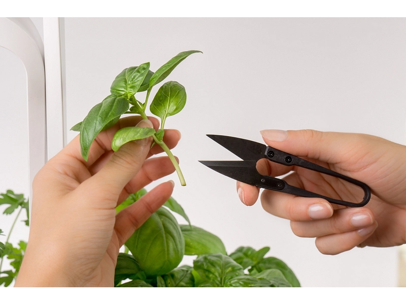 VÉRITABLE Mini-ciseaux