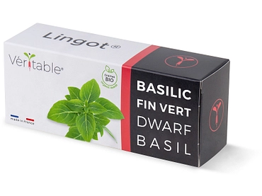 VÉRITABLE Lingot potager