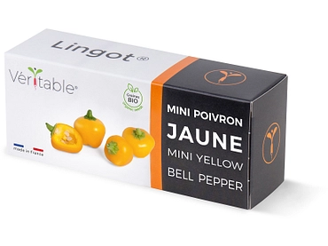 VÉRITABLE Lingot potager