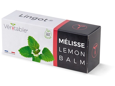 VÉRITABLE Lingot potager