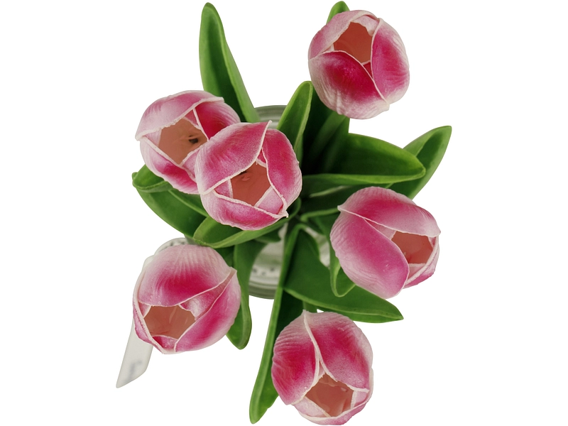 Pianta artificiale LIPEA