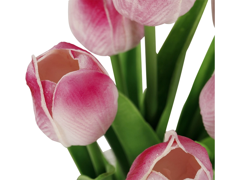 Pianta artificiale LIPEA