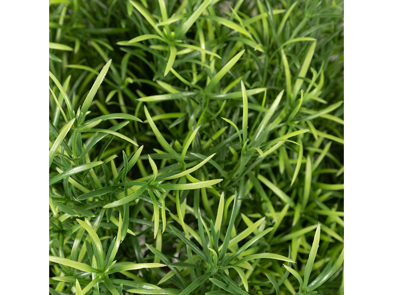 Plante artificielle KAMA