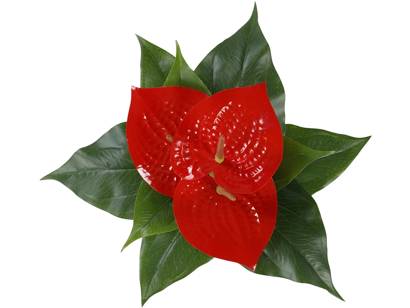 Plante artificielle ANDREA