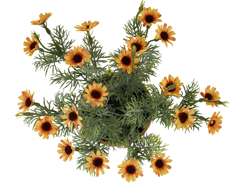 Pianta artificiale ESMEE