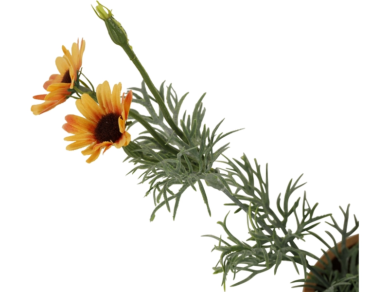 Pianta artificiale ESMEE