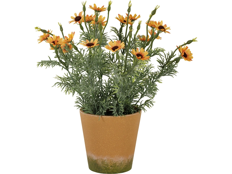 Pianta artificiale ESMEE