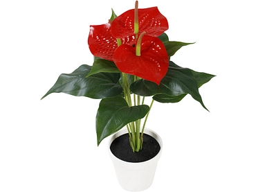 Plante artificielle ANDREA