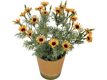 Plante artificielle ESMEE