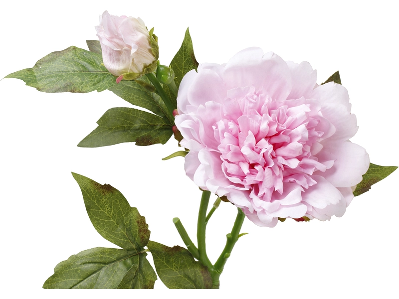 Fleur artificielle RINA