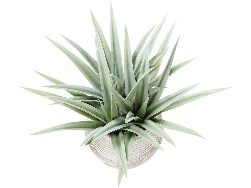 Plante artificielle VANEL