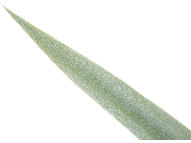 Plante artificielle VANEL