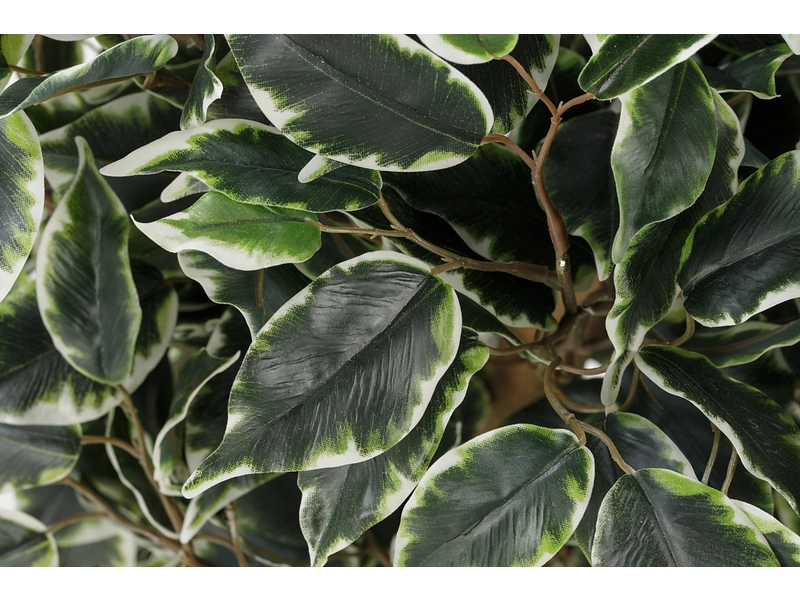 Künstliche Pflanze FLORION