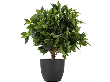 Künstliche Pflanze FLORION