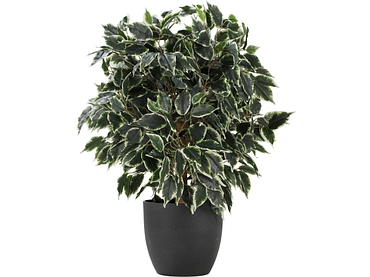 Künstliche Pflanze FLORION