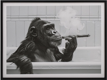 Toile imprimée BOBO 1 pièce multicolore