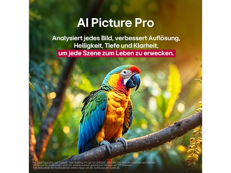 LG ELECTRONICS TV QNED LG ELECTRONICS TV QNED