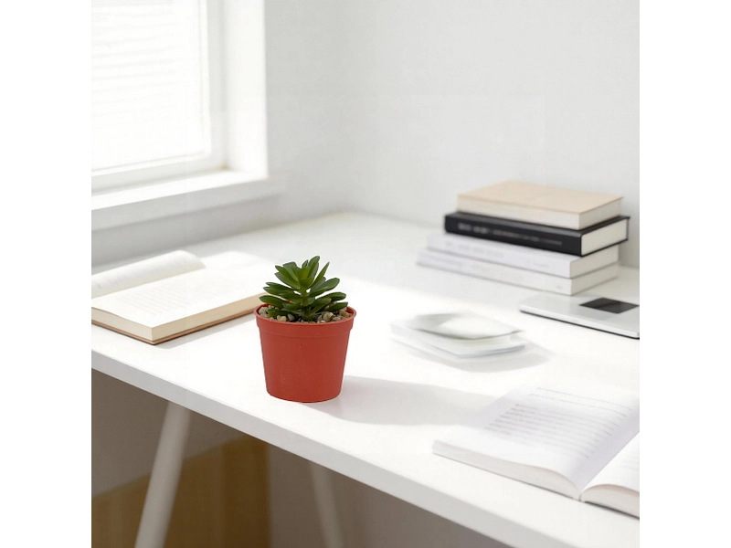 Plante artificielle LOLA