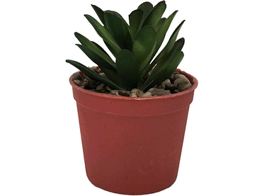 Pianta artificiale LOLA