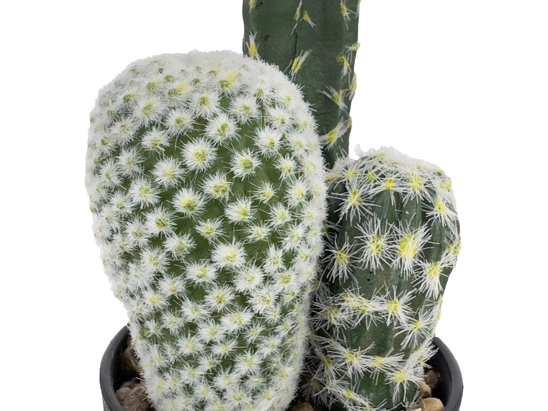 Pianta artificiale KADIA