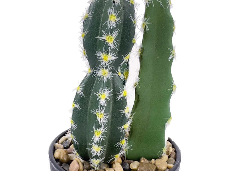 Pianta artificiale KADIA