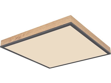 Plafoniera DORO intensità variabile