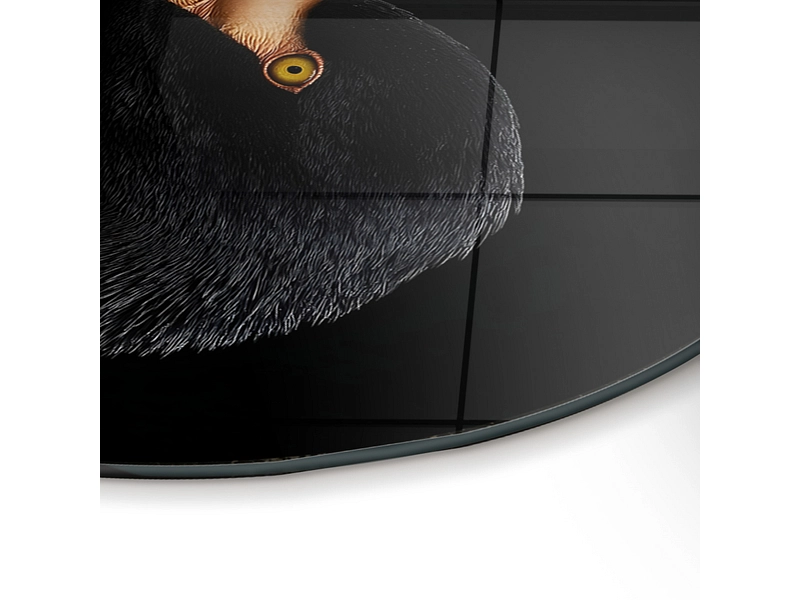 Quadro in vetro BLACK FLAMINGO 1 pezzo vetro nero