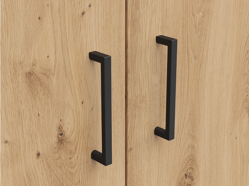 Armoire de rangement MULTI 2 portes