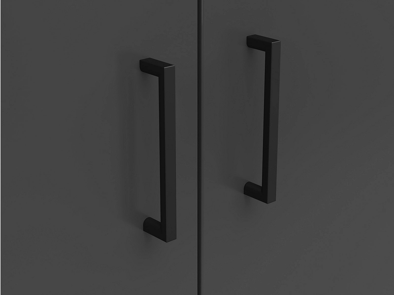 Meuble de rangement MULTI 2 portes