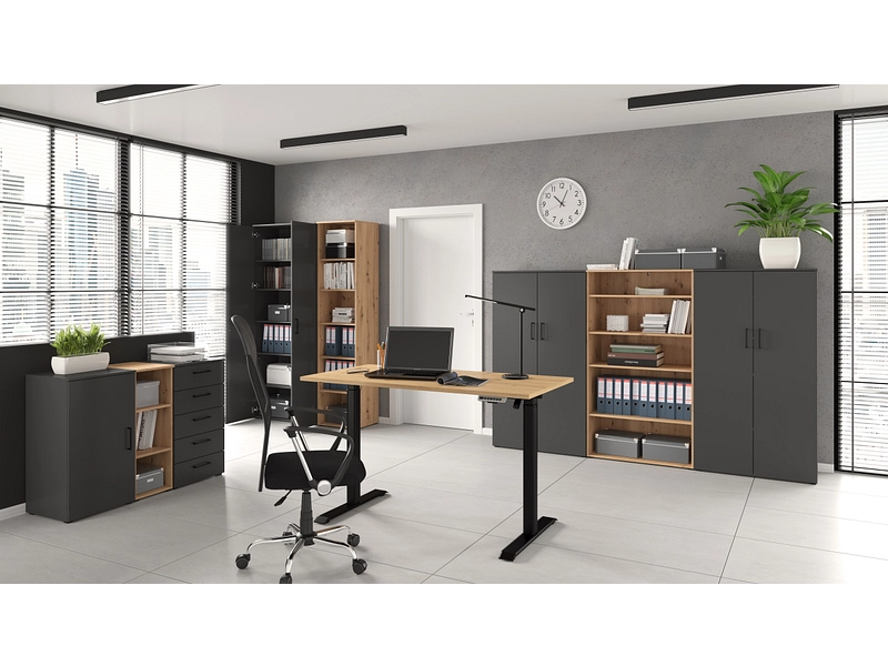 Armoire de rangement MULTI 2 portes