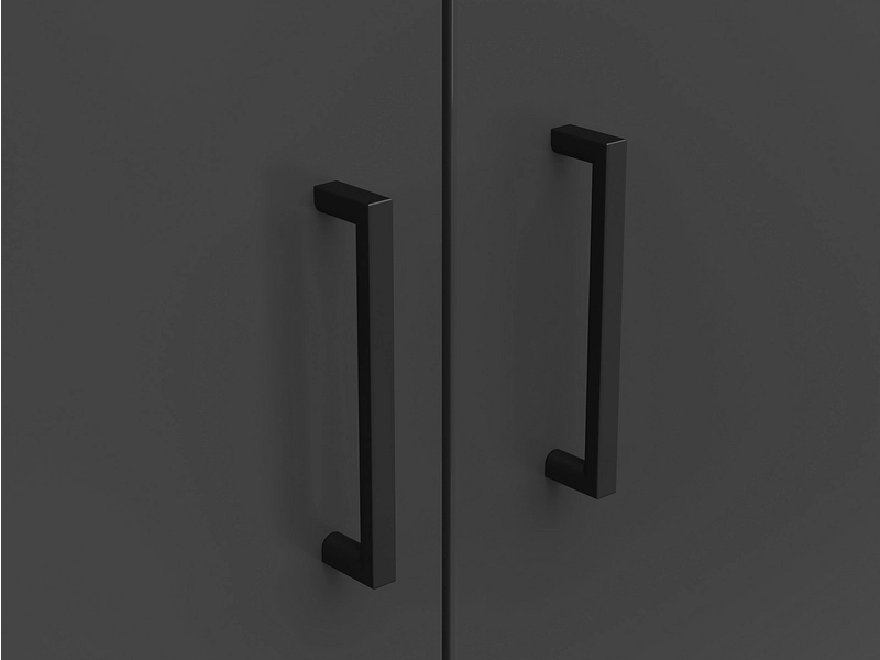 Armoire de rangement MULTI 2 portes