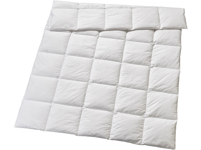 BILLERBECK EDITIONPiumino CIELLA MEDIUM