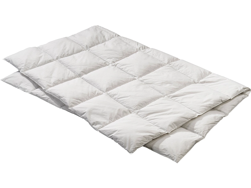 BILLERBECK EDITIONPiumino CIELLA MEDIUM