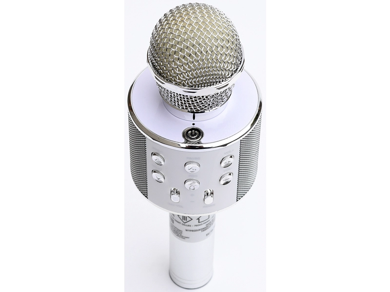 FESTI SOUND Microfono