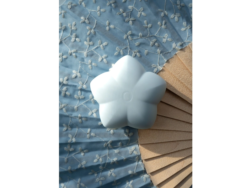 INNUDO Klitorisstimulator