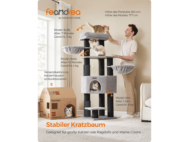 Arbre à chat FEANDREA