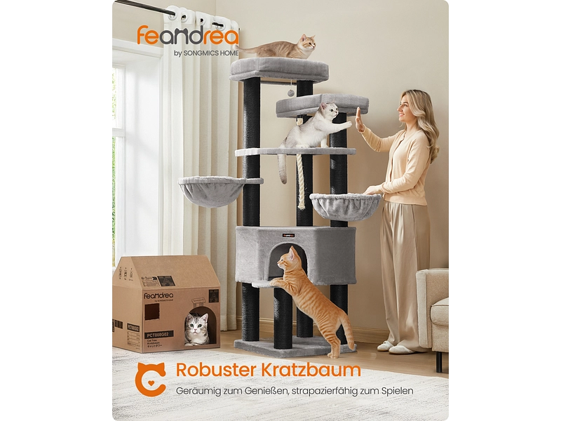 Katzenbaum FEANDREA Katzenbaum FEANDREA