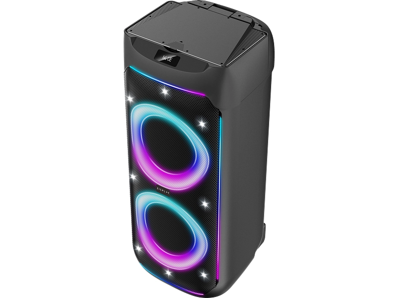 ZICPLAY Karaoke-Lautsprecher ZICPLAY Karaoke-Lautsprecher