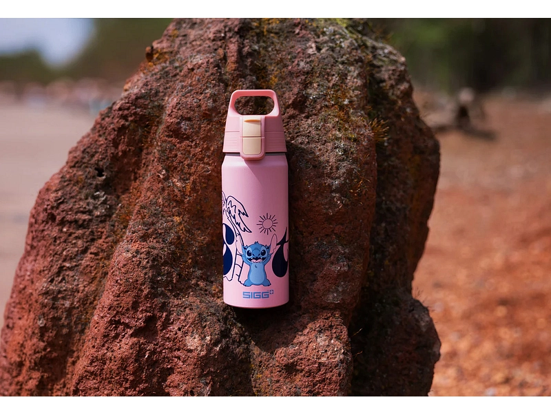 SIGG Gourde WMB DISNEY