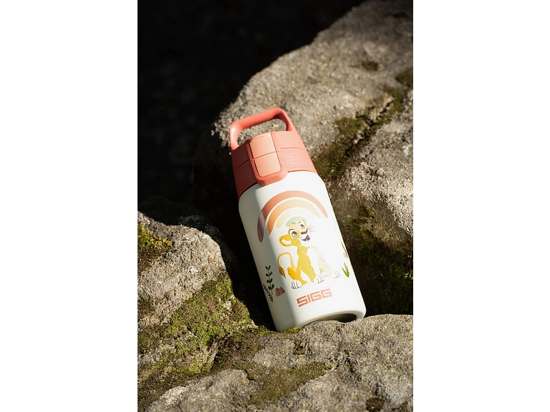 SIGG Gourde SHIELD ONE