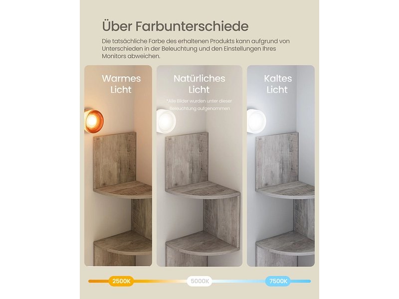 SONGMICS Regal ROCKY