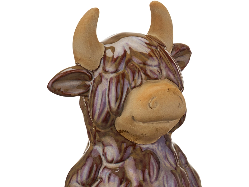 Statuina COO Statuina COO