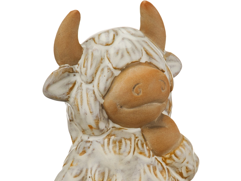 Statuina COO