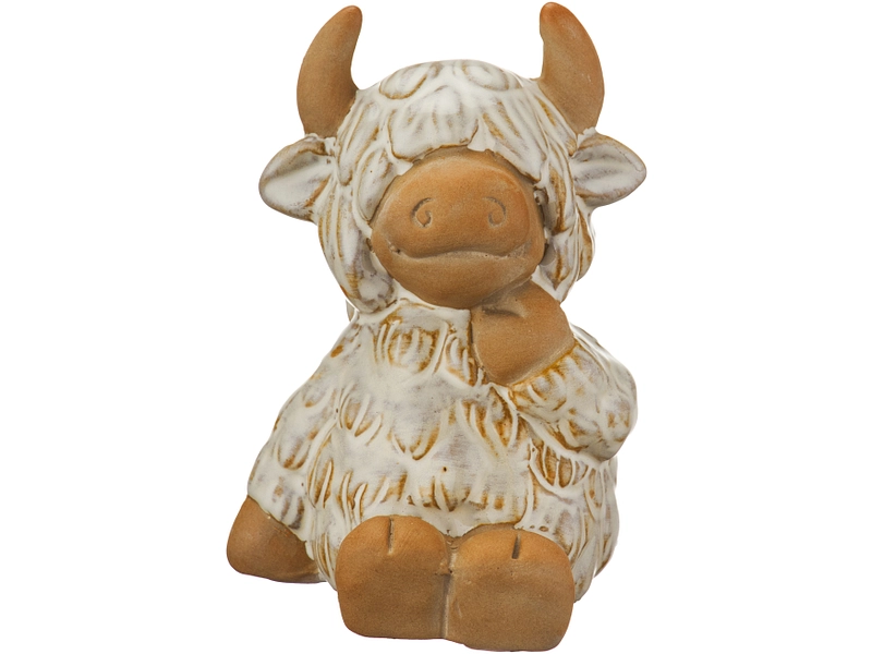Statuina COO
