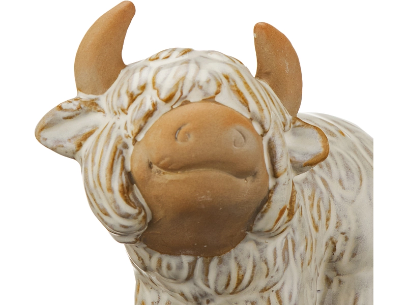 Statuina COO Statuina COO