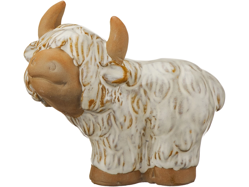 Statuina COO Statuina COO