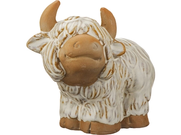 Statuina COO