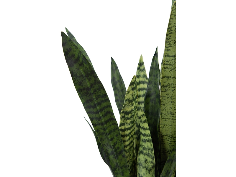 Plante artificielle CHARLIE