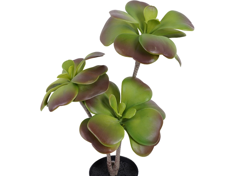 Plante artificielle VERIA